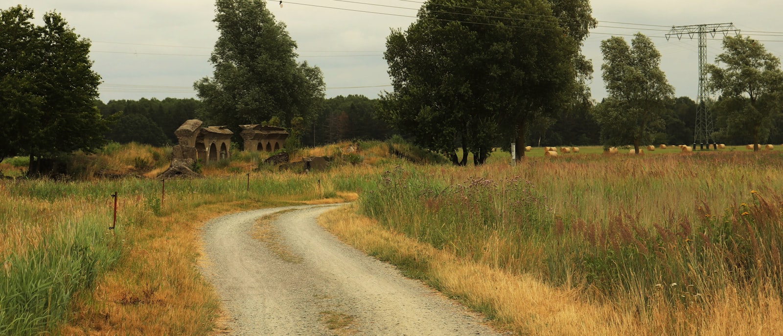 A dirt road in the middle of a grassy field